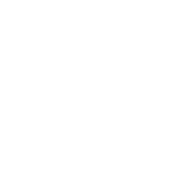 technix